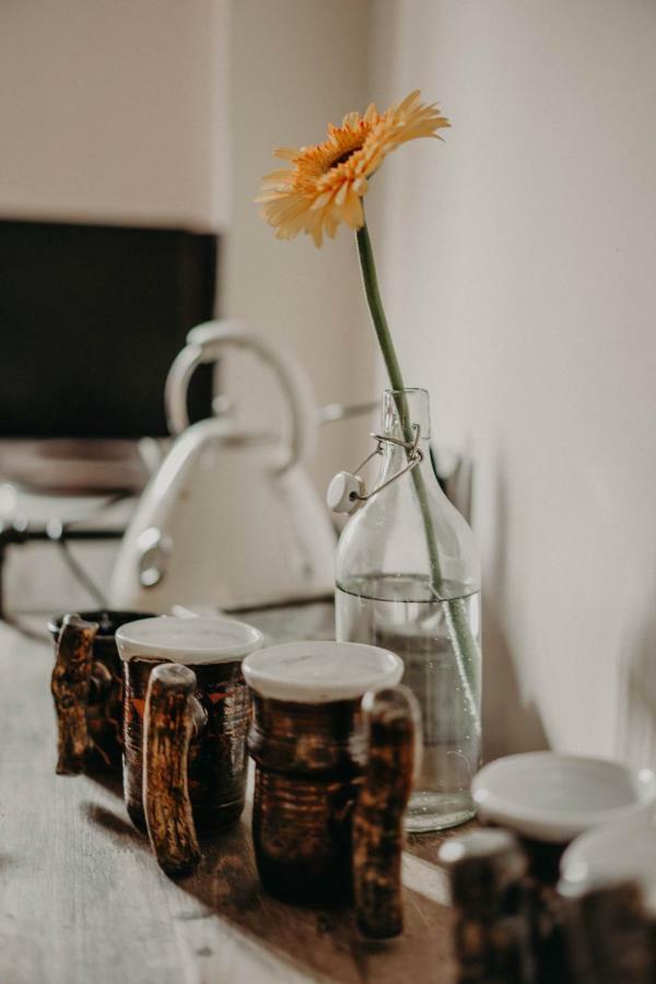 Center Stylish 3 Bedroom Apartament Sofia